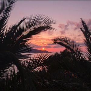 Meet your Posher, Camilla